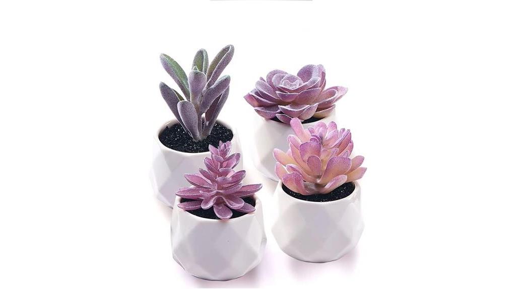 artificial succulent plant set