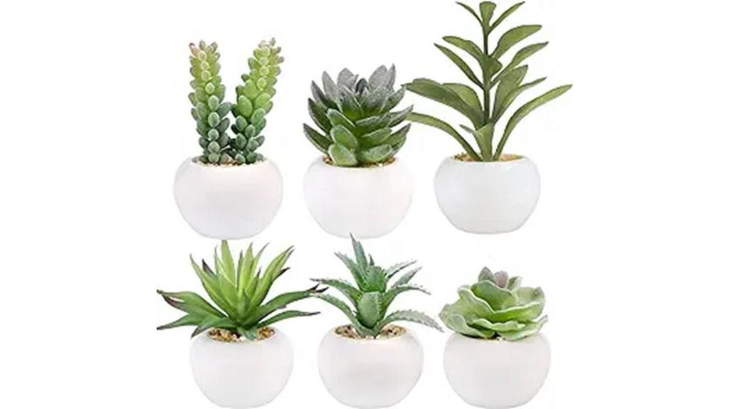 artificial succulent plant set