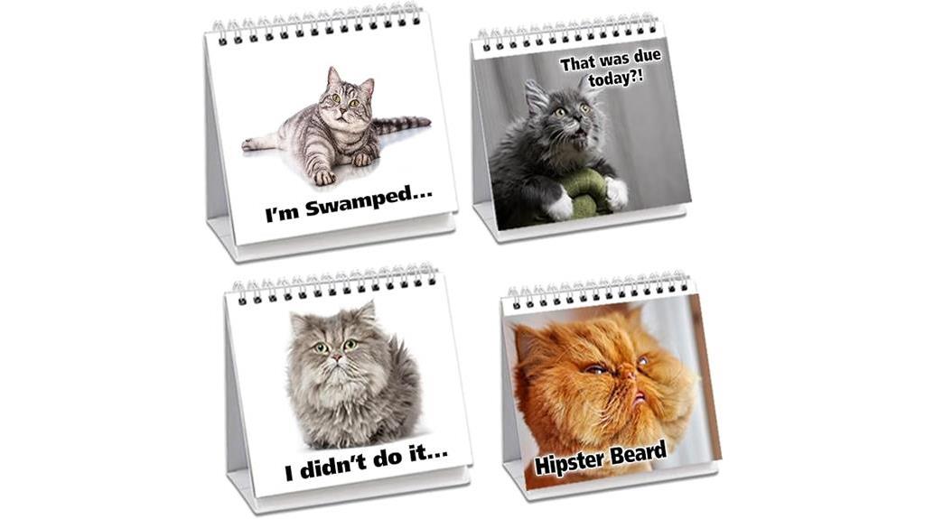 humorous cat themed office decor