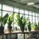 indoor plants enhance productivity