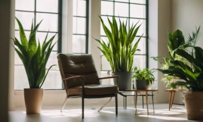 low light office plants