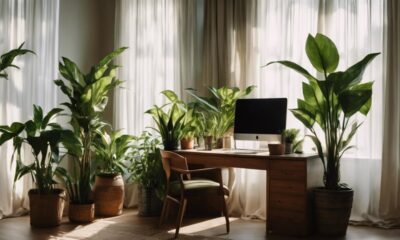 low light office plants