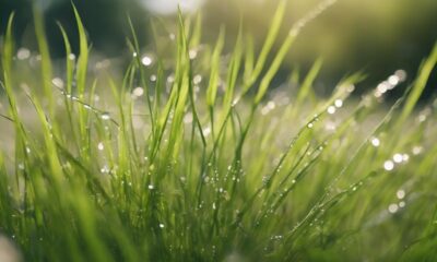 nature s grass resilience lessons