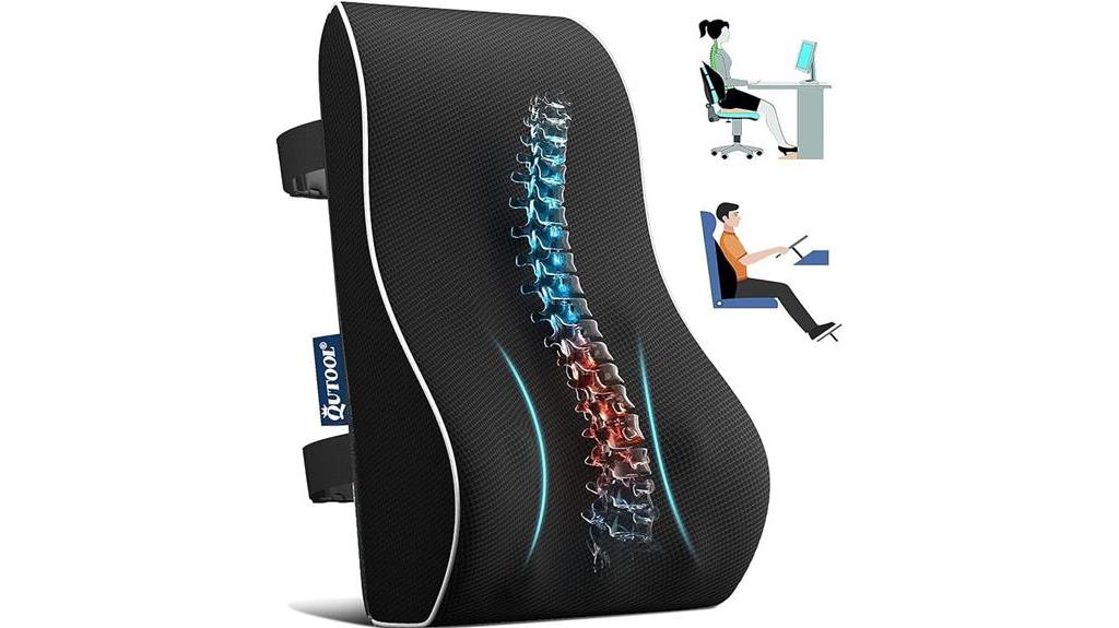 office and car lumbar support