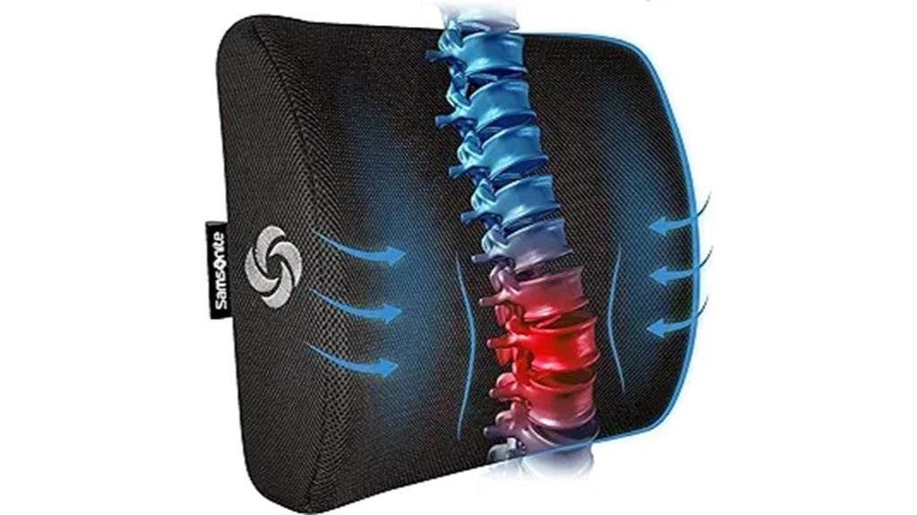 samsonite lumbar support pillow