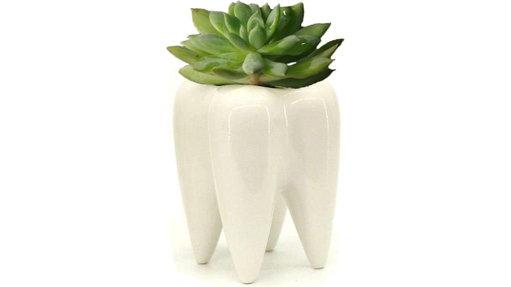 tooth shaped ceramic holder