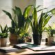 top office plants for productivity