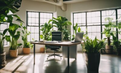 top office plants selection