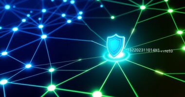 decentralized data security framework