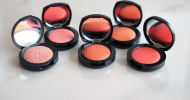 affordable blush alternatives