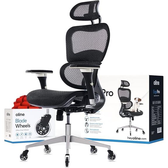 ErgoPro Ergonomic Office Chair with Adjustable Features
