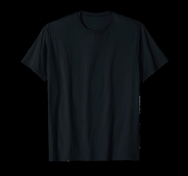 embedded systems developer tee