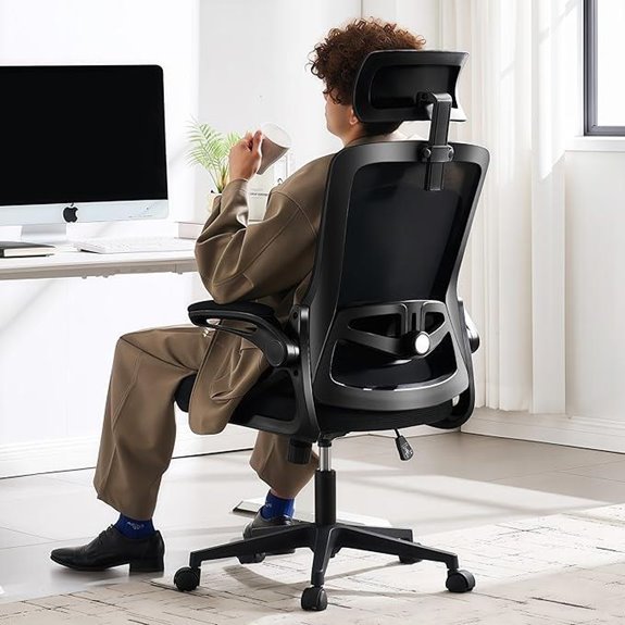 Fizzin Ergonomic Office Chair with Lumbar Support