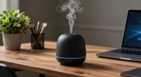 top workspace diffuser picks