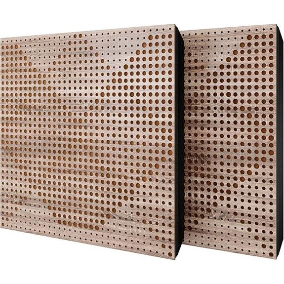 2 Pack Acoustic Panels with Mounting Kit