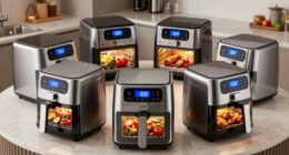 top large capacity air fryers