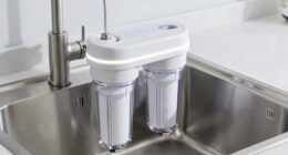 top under sink water filters