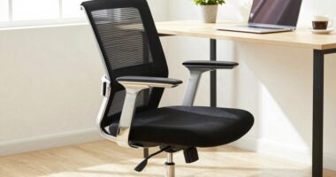 beyond lumbar support