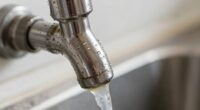 regular soda maker cleaning