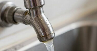 regular soda maker cleaning