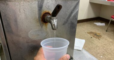 shared ice machine hygiene