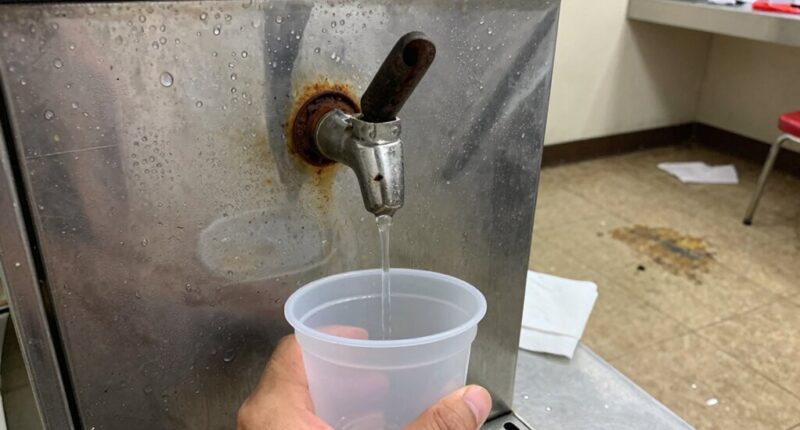shared ice machine hygiene