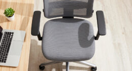 11 Best Ergonomic Office Chair With Seat Slider in 2026