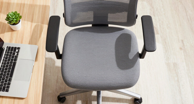 11 Best Ergonomic Office Chair With Seat Slider in 2026