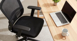 7 Best Premium Mesh Office Chair for Remote Work in 2026