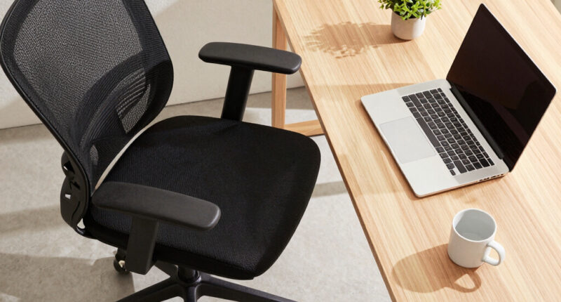7 Best Premium Mesh Office Chair for Remote Work in 2026