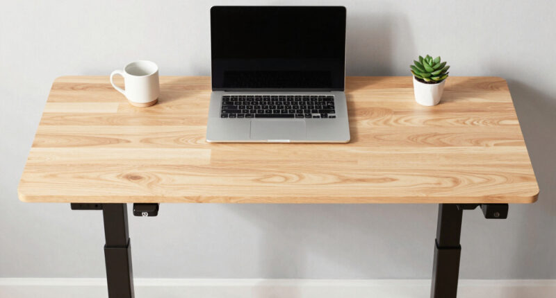 8 Best Standing Desk With Drawers For Home Office In 2026