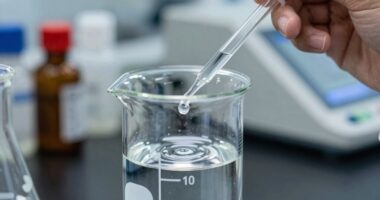equity dilution importance explained