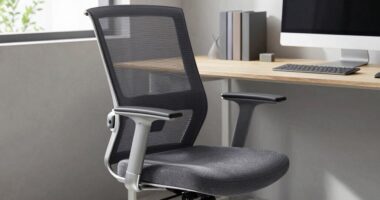 ergonomic chairs for comfort