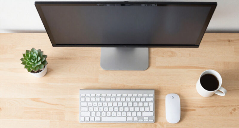 9 Best 4K Monitors for Work and Play in 2026