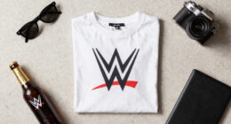WWE and Joe Hand Promotions Team Up to Offer WWE SummerSlam to Bars and Restaurants